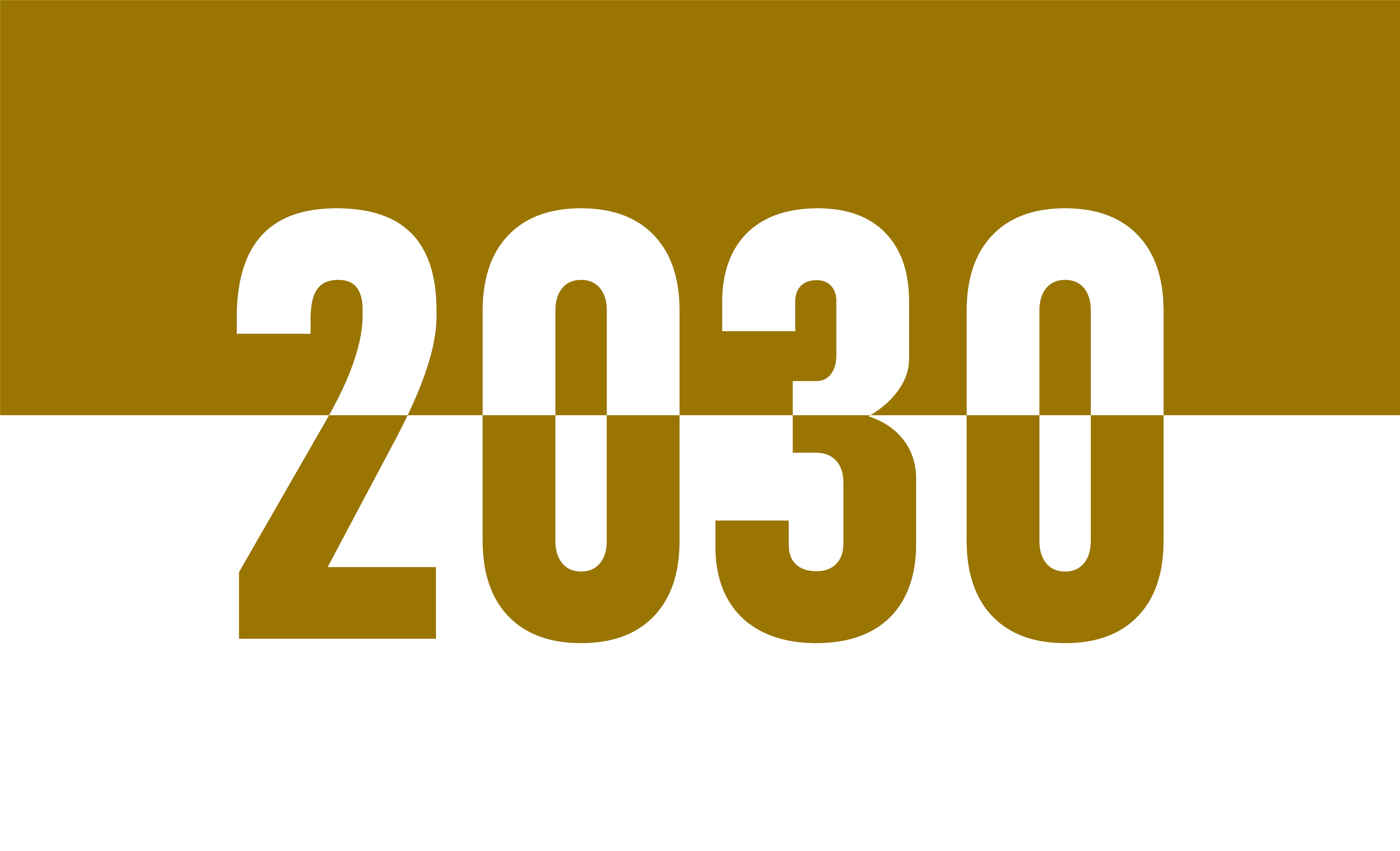 Vision 2030