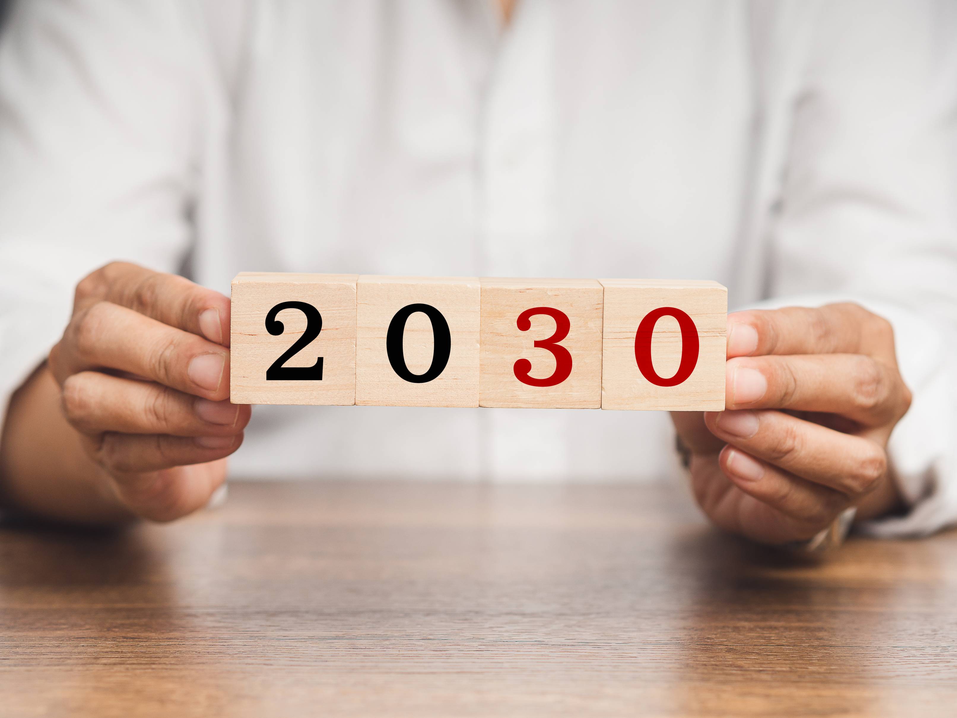 DOWNLOAD 2030 STRATEGIC PLAN HERE