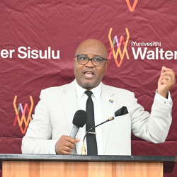 WALTER SISULU RESEARCHER SAYS MADLANGA’S REAL TEST COMES AFTER ITS FINDINGS