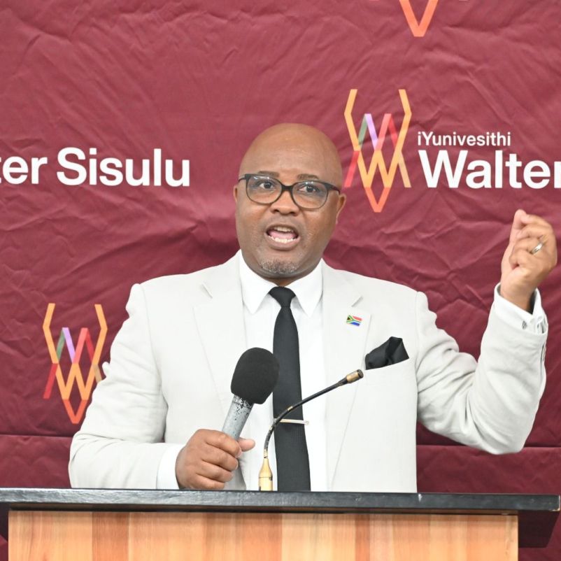 WALTER SISULU RESEARCHER SAYS MADLANGA’S REAL TEST COMES AFTER ITS FINDINGS