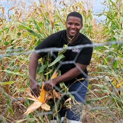 WSU STUDENT CREATES JOBS THROUGH THRIVING FARMING BUSINESS IN QOMBE